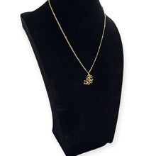 Load image into Gallery viewer, Noor Al Saada (Light of Happiness) Classic Arabic Calligraphy Necklace