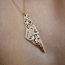 Load image into Gallery viewer, Palestine Crystal Map Necklace
